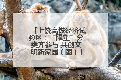 上饶高铁经济试验区：“限塑”分类齐参与 共创文明新家园（图）