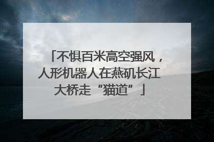 不惧百米高空强风，人形机器人在燕矶长江大桥走“猫道”