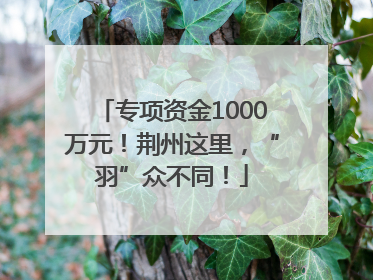 专项资金1000万元！荆州这里，“羽”众不同！