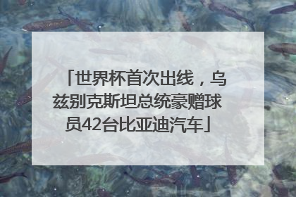 世界杯首次出线，乌兹别克斯坦总统豪赠球员42台比亚迪汽车