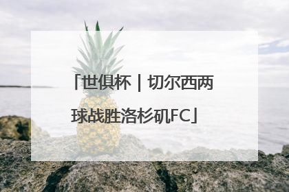 世俱杯｜切尔西两球战胜洛杉矶FC