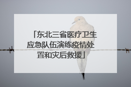 东北三省医疗卫生应急队伍演练疫情处置和灾后救援