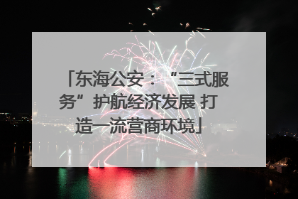 东海公安：“三式服务”护航经济发展 打造一流营商环境