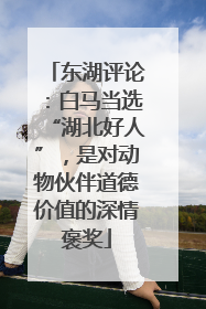 东湖评论：白马当选“湖北好人”，是对动物伙伴道德价值的深情褒奖