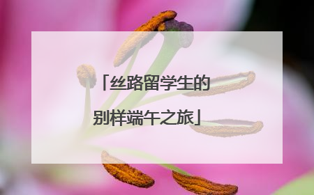 丝路留学生的别样端午之旅