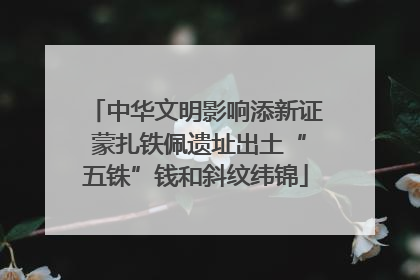 中华文明影响添新证 蒙扎铁佩遗址出土“五铢”钱和斜纹纬锦