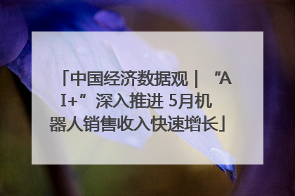中国经济数据观｜“AI+”深入推进 5月机器人销售收入快速增长