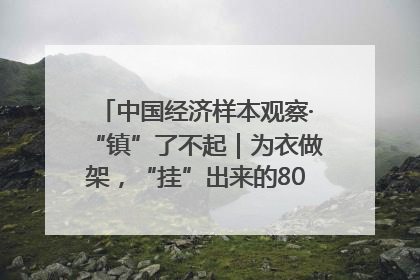 中国经济样本观察·“镇”了不起｜为衣做架，“挂”出来的80亿元“衣架产业”