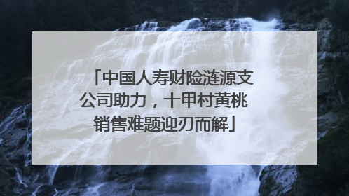 中国人寿财险涟源支公司助力，十甲村黄桃销售难题迎刃而解
