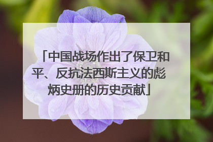中国战场作出了保卫和平、反抗法西斯主义的彪炳史册的历史贡献