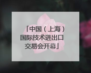 中国（上海）国际技术进出口交易会开幕