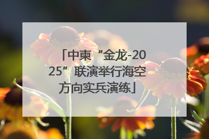中柬“金龙-2025”联演举行海空方向实兵演练