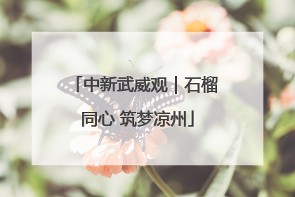 中新武威观｜石榴同心 筑梦凉州