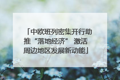 中欧班列密集开行助推“落地经济” 激活周边地区发展新动能