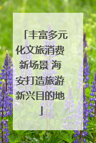 丰富多元化文旅消费新场景 海安打造旅游新兴目的地