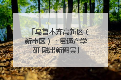 乌鲁木齐高新区（新市区）：贯通产学研 融出新图景