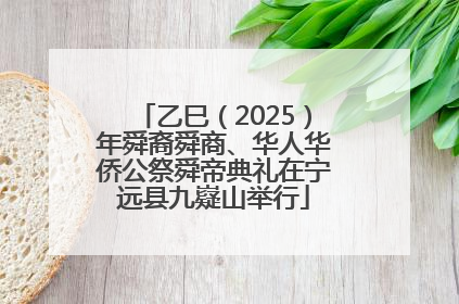 乙巳（2025）年舜裔舜商、华人华侨公祭舜帝典礼在宁远县九嶷山举行