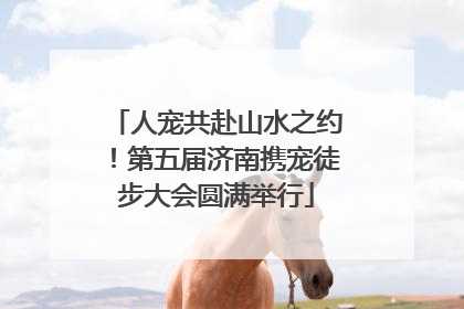 人宠共赴山水之约！第五届济南携宠徒步大会圆满举行