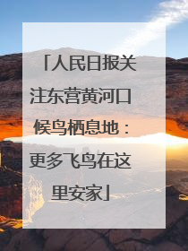 人民日报关注东营黄河口候鸟栖息地：更多飞鸟在这里安家