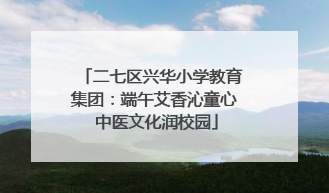 二七区兴华小学教育集团：端午艾香沁童心 中医文化润校园
