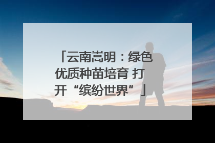 云南嵩明：绿色优质种苗培育 打开“缤纷世界”