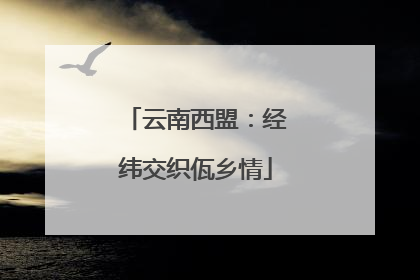 云南西盟：经纬交织佤乡情
