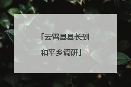 云霄县县长到和平乡调研