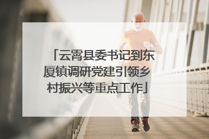 云霄县委书记到东厦镇调研党建引领乡村振兴等重点工作