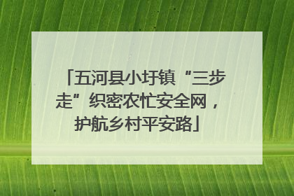 五河县小圩镇“三步走”织密农忙安全网，护航乡村平安路