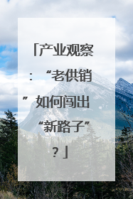 产业观察：“老供销”如何闯出“新路子”？