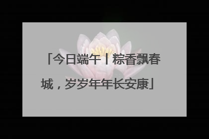 今日端午丨粽香飘春城，岁岁年年长安康