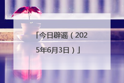 今日辟谣（2025年6月3日）