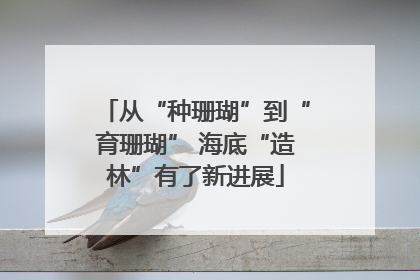 从“种珊瑚”到“育珊瑚” 海底“造林”有了新进展