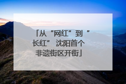 从“网红”到“长红” 沈阳首个非遗街区开街