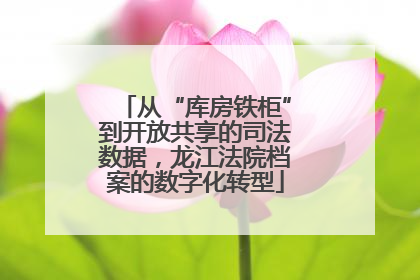 从“库房铁柜”到开放共享的司法数据，龙江法院档案的数字化转型
