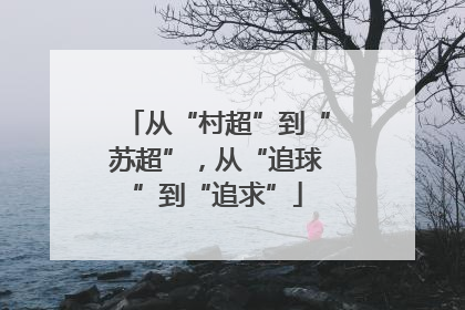 从“村超”到“苏超”，从“追球”到“追求”