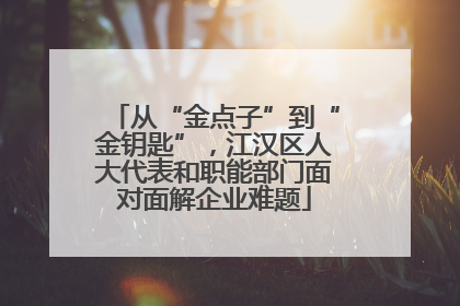 从“金点子”到“金钥匙”，江汉区人大代表和职能部门面对面解企业难题