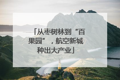 从枣树林到“百果园”，航空新城种出大产业