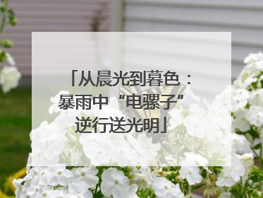从晨光到暮色：暴雨中“电骡子”逆行送光明