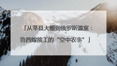 从莘县大棚到俄罗斯温室：鲁西嫁接工的“空中农事”