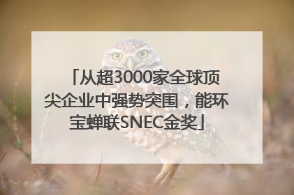 从超3000家全球顶尖企业中强势突围，能环宝蝉联SNEC金奖