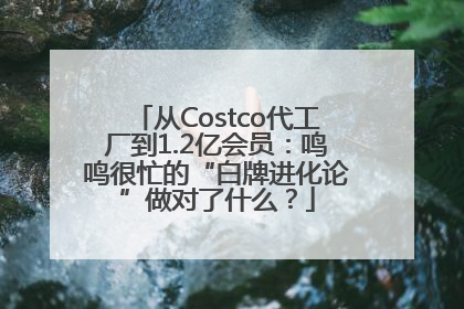 从Costco代工厂到1.2亿会员：鸣鸣很忙的“白牌进化论”做对了什么？
