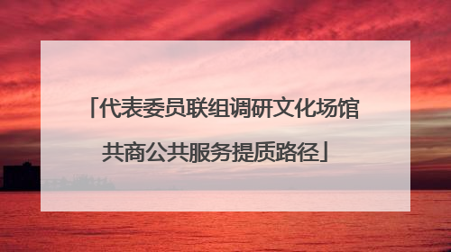 代表委员联组调研文化场馆 共商公共服务提质路径