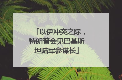 以伊冲突之际，特朗普会见巴基斯坦陆军参谋长