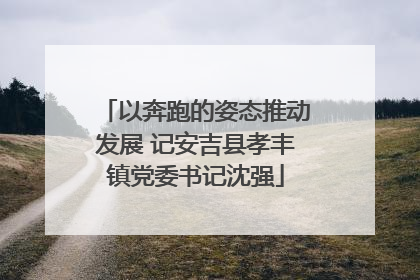 以奔跑的姿态推动发展 记安吉县孝丰镇党委书记沈强