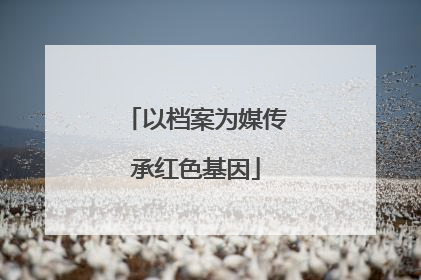 以档案为媒传承红色基因