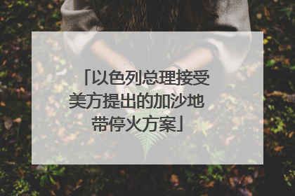 以色列总理接受美方提出的加沙地带停火方案