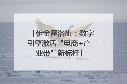 伊金霍洛旗：数字引擎激活“电商+产业带”新标杆