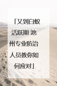 又到白蚁活跃期 池州专业防治人员教你如何应对