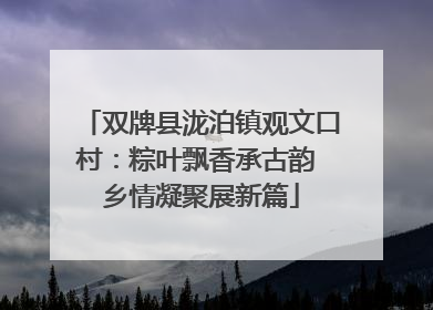 双牌县泷泊镇观文口村：粽叶飘香承古韵 乡情凝聚展新篇